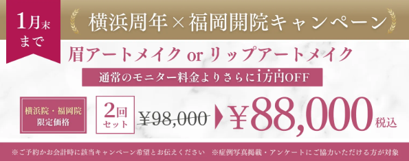 アートメイクギャラリーのモニター